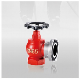 Indoor Fire Hydrant